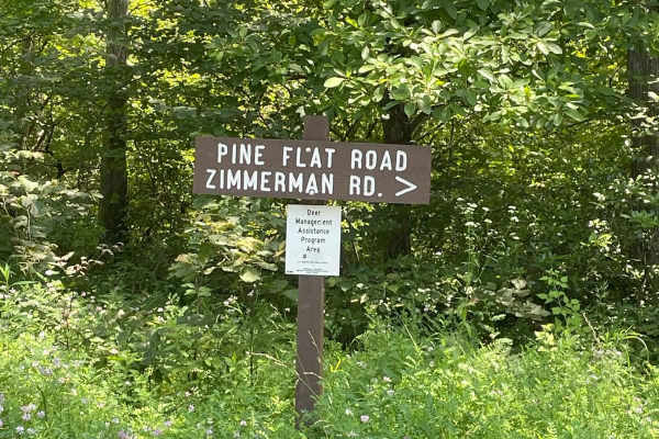 Pine Flat Road