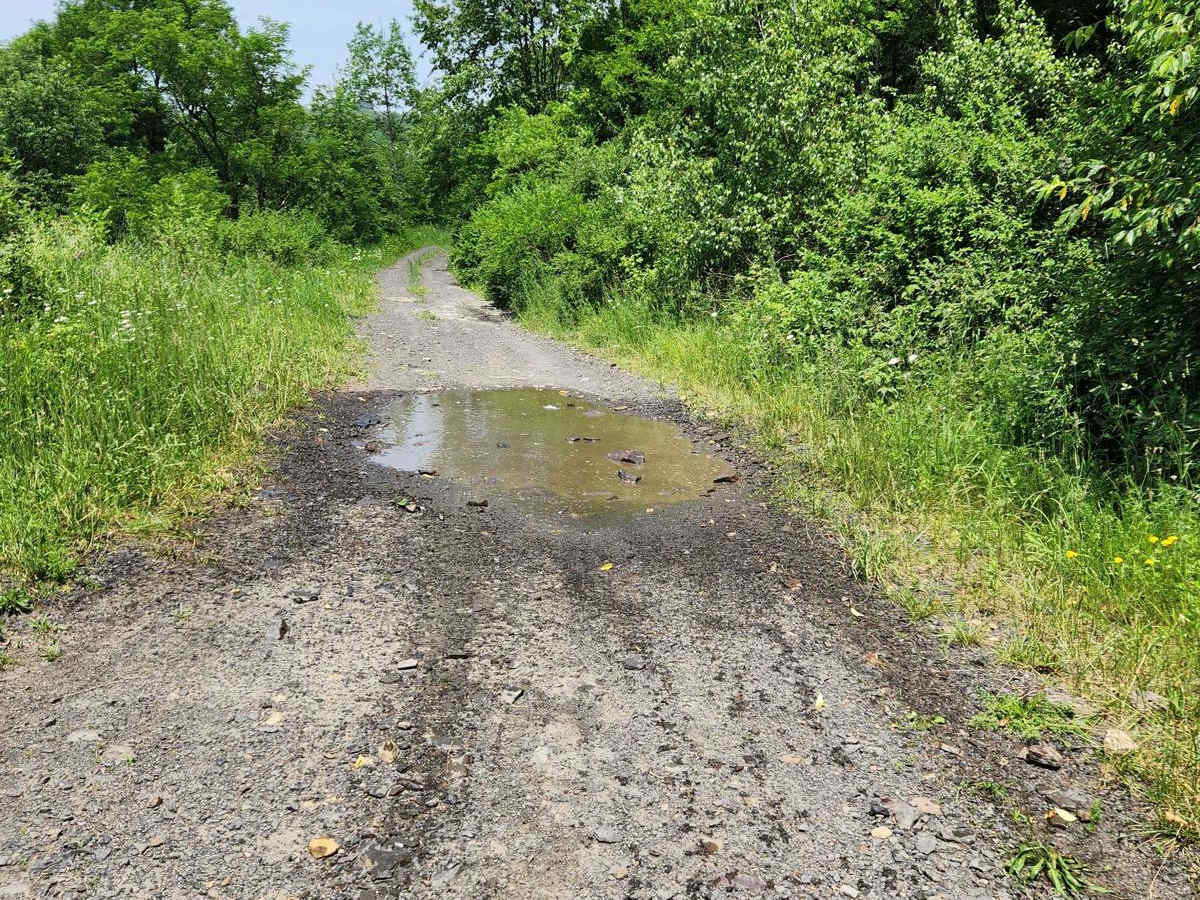 Trail 6I - Rock Run Recreation Area photo 3