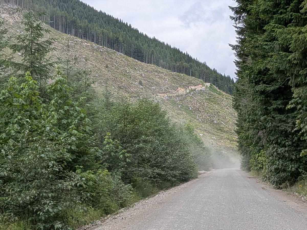 Gordon River Road North trail photo