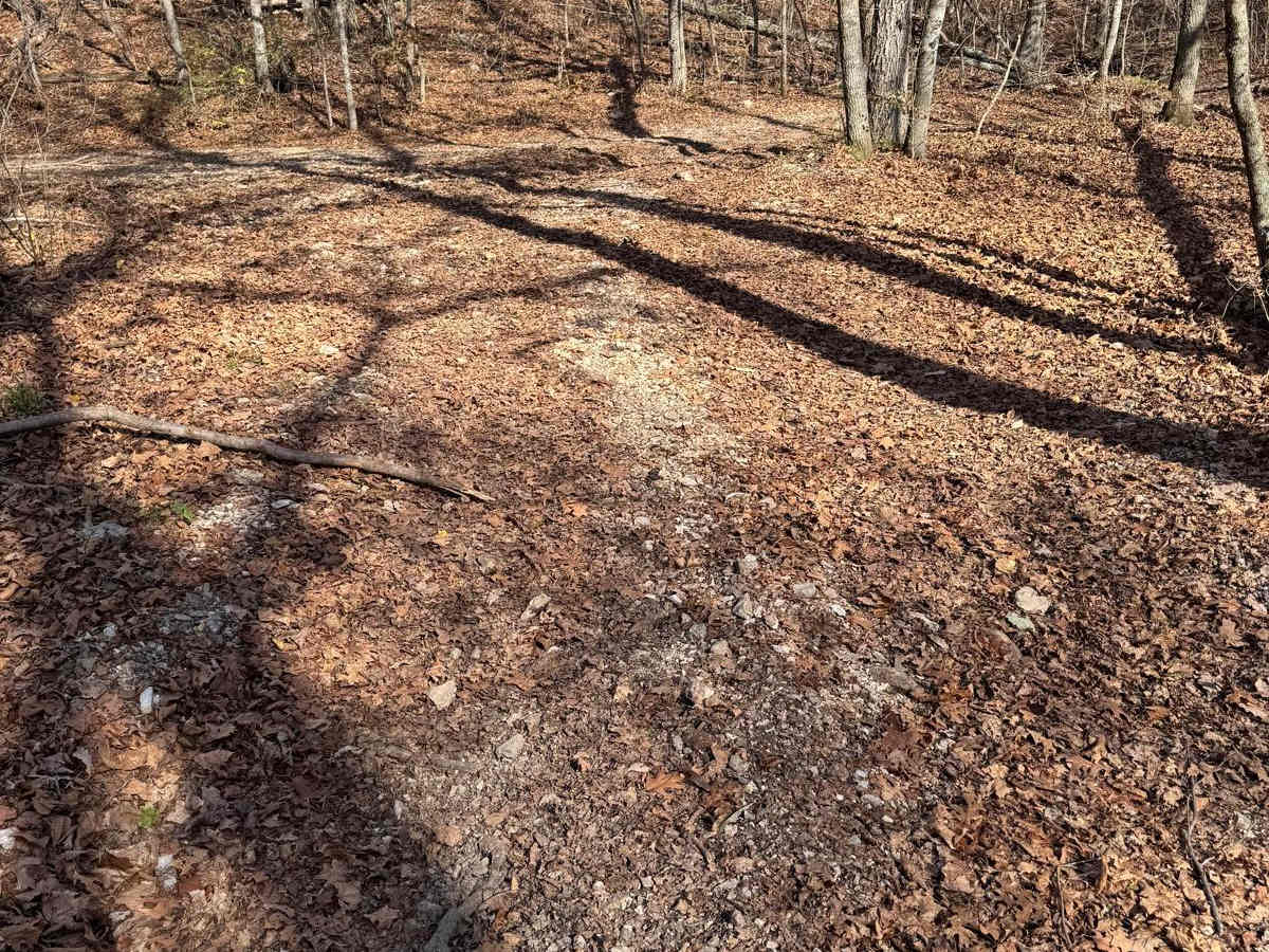 Red Green 175 photo 6