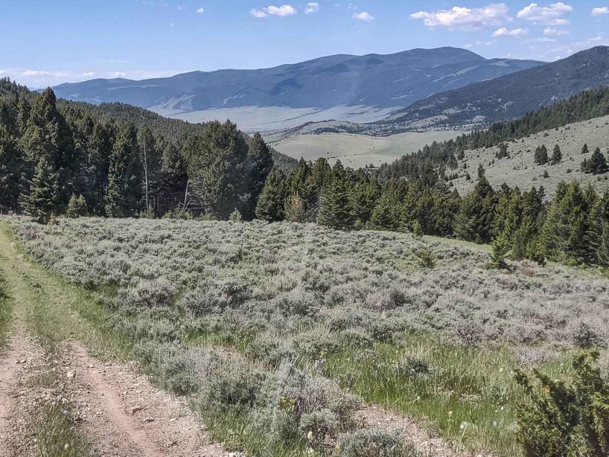 Skyline Mine Spur photo 3