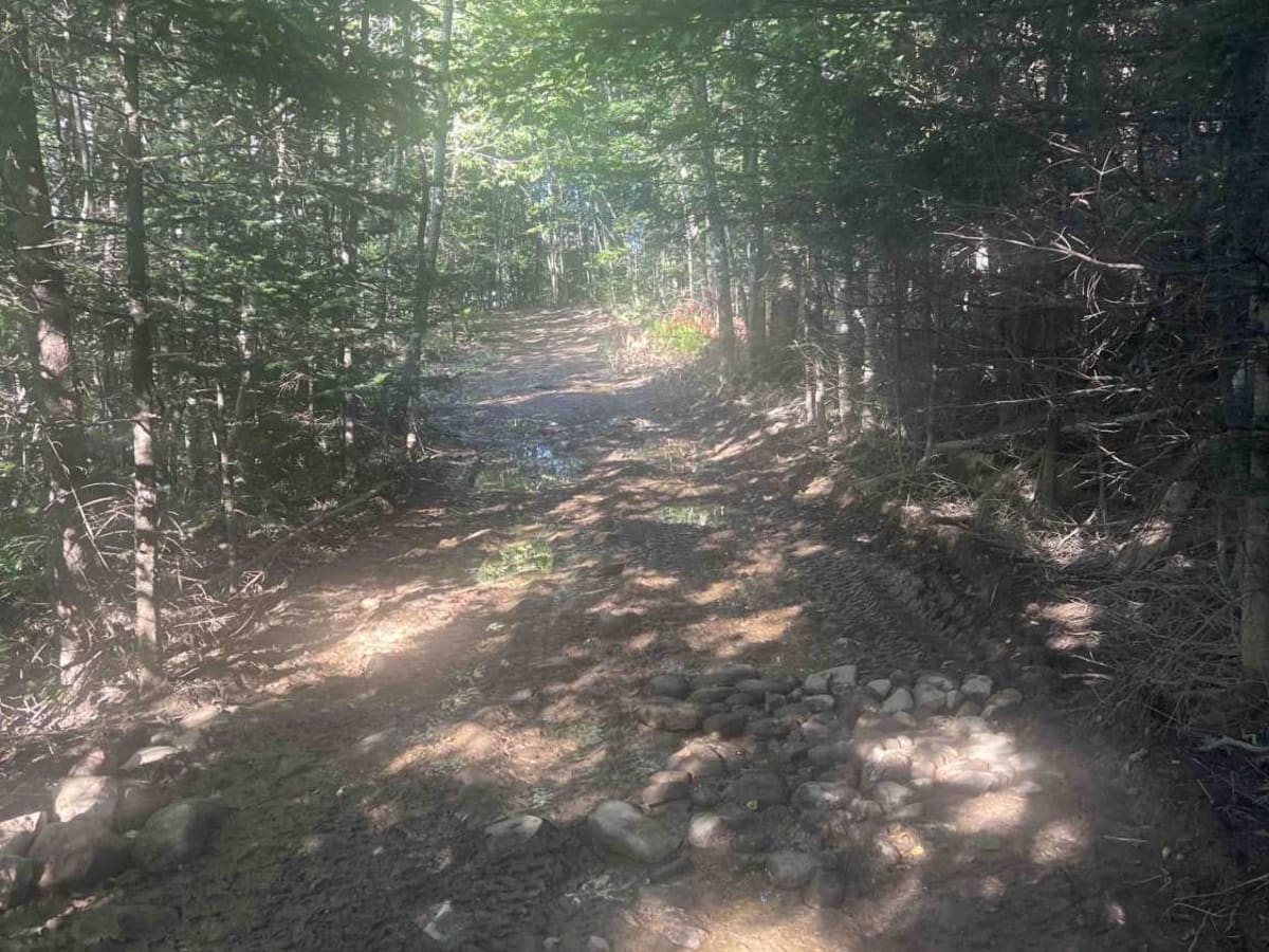 Corinna Loop Trail trail photo