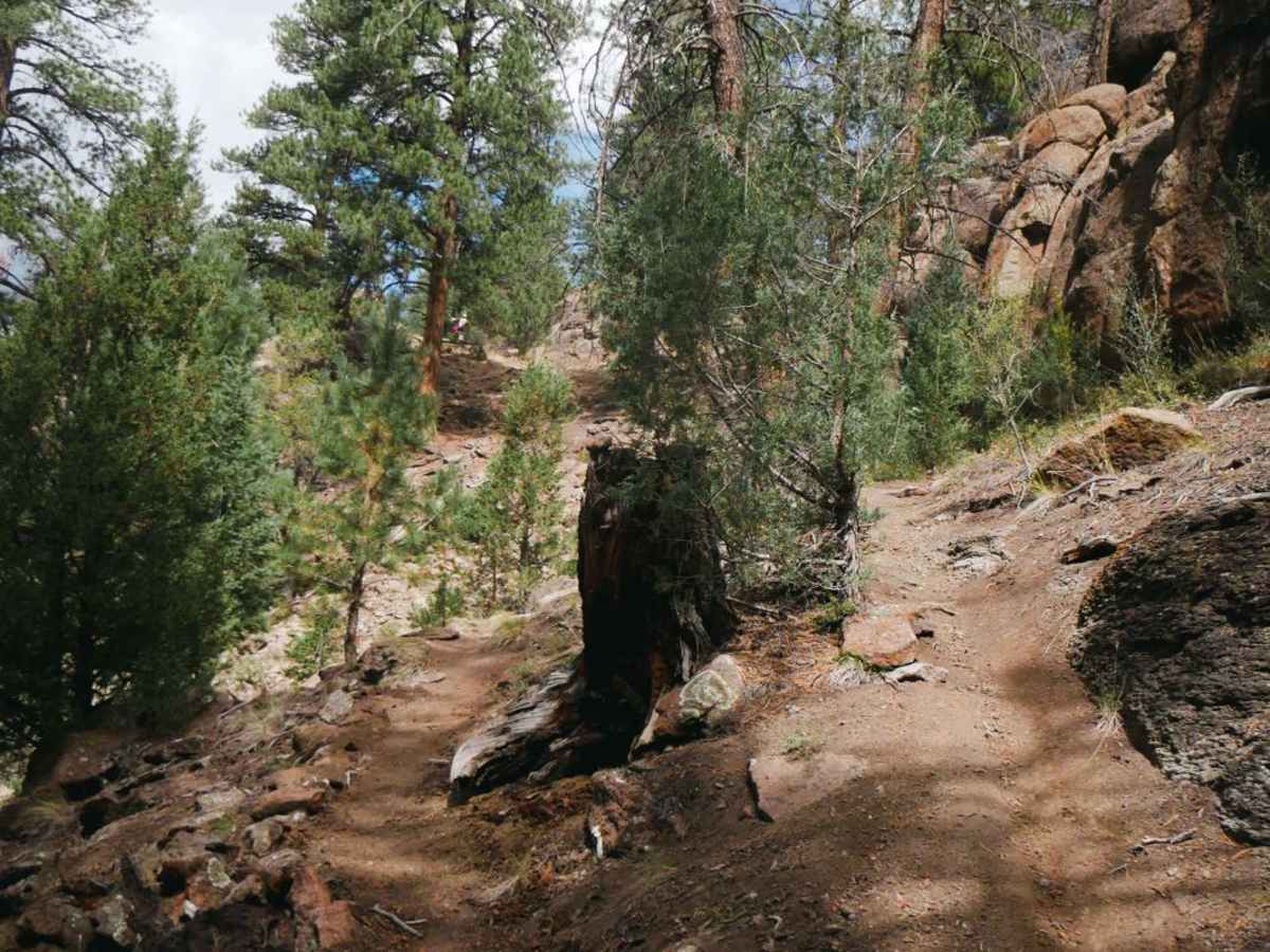 Palisade Trail photo 6