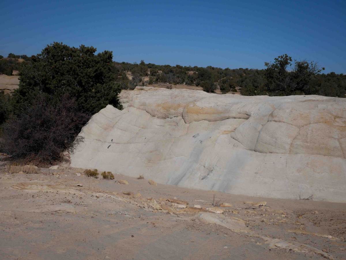 RJs trail photo