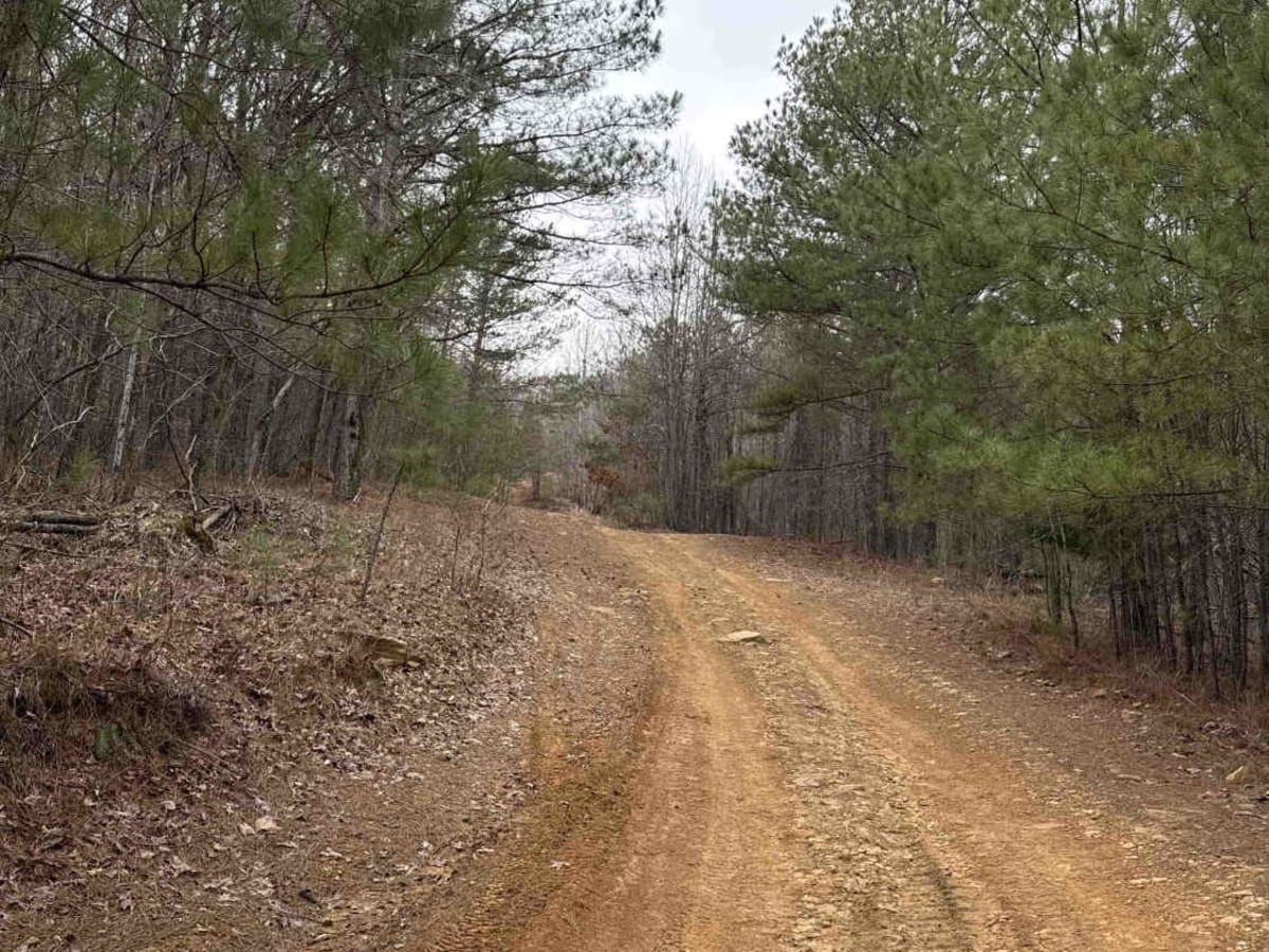 #96 Charlie's Trail photo 3