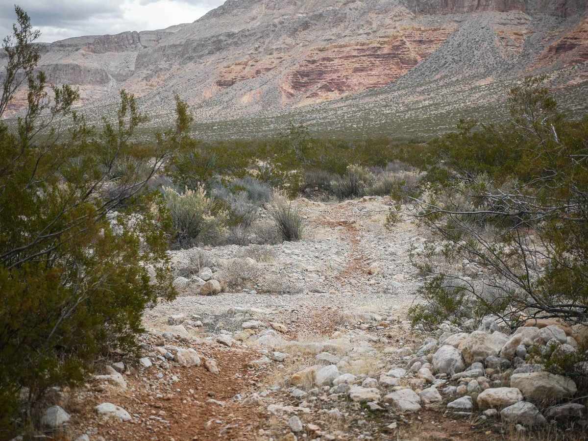 2055 Single Track trail photo