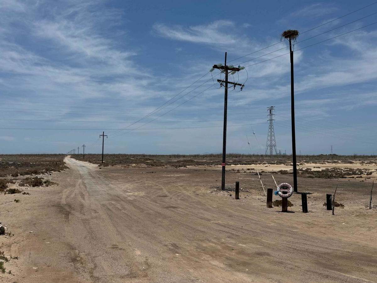 Powerline Road photo 2