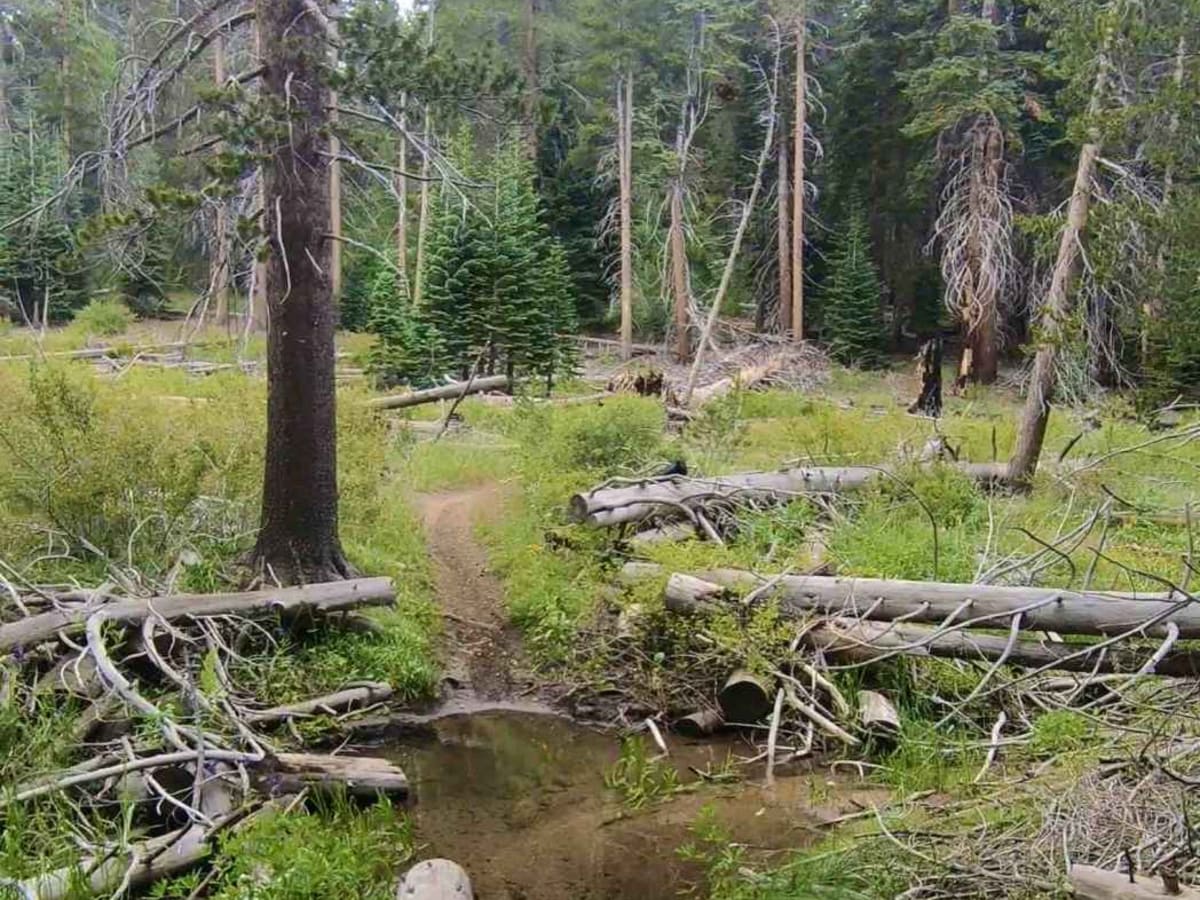 Trout Creek Trail photo 2