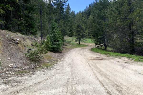 Yellow Pine Ridge