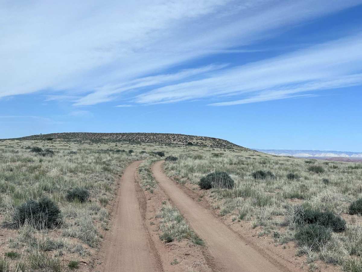 D2652 trail photo