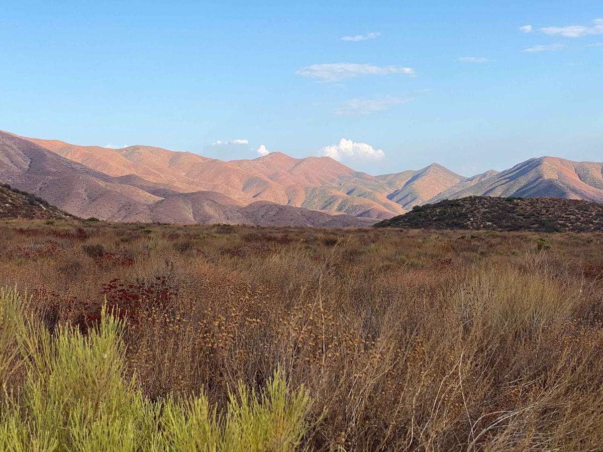 Quail Canyon Road photo 2