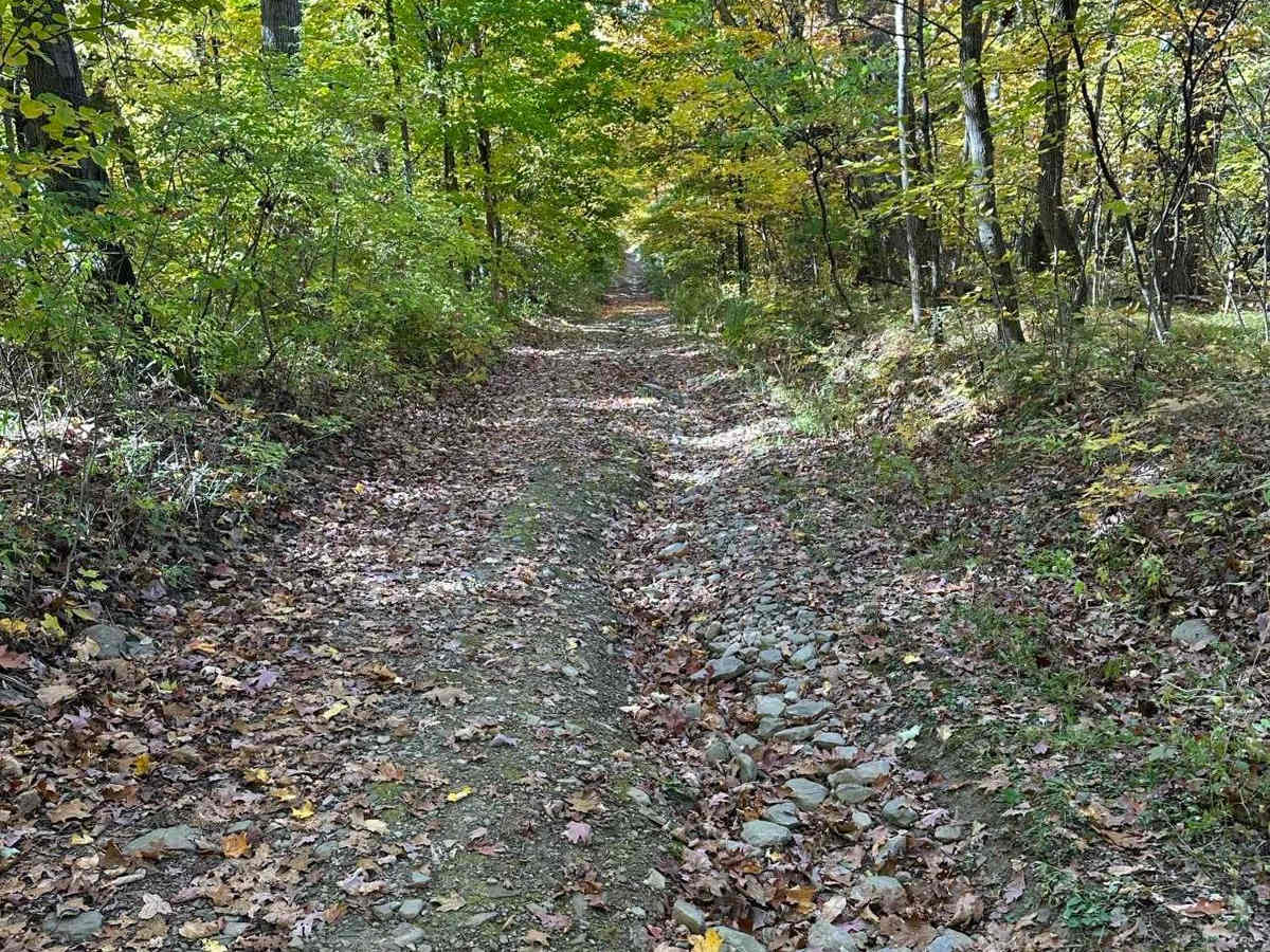 Wood Hill Road photo 3