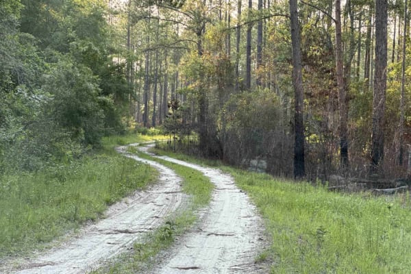 Nick's Camp Road