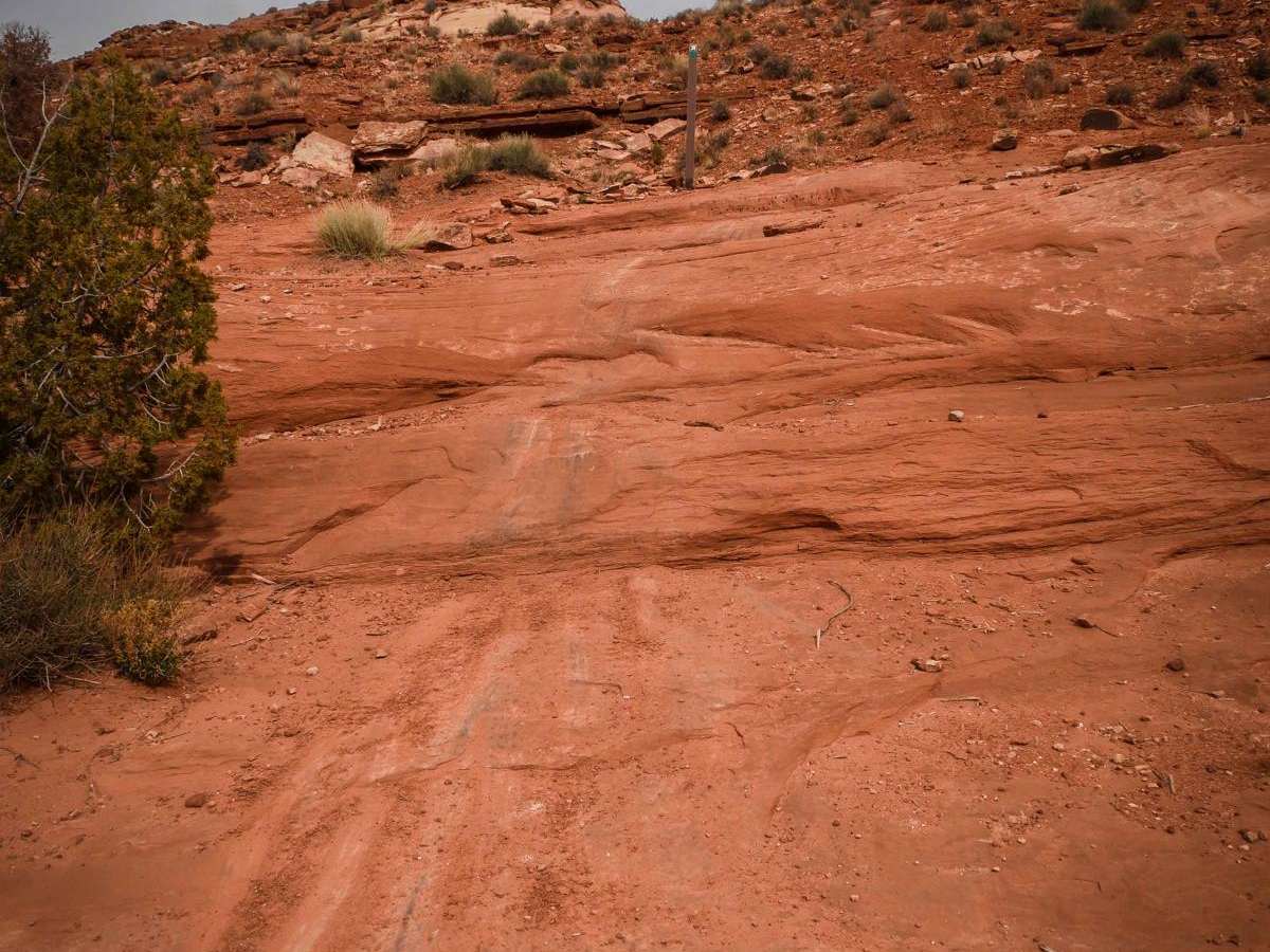 The Big Drop photo 3