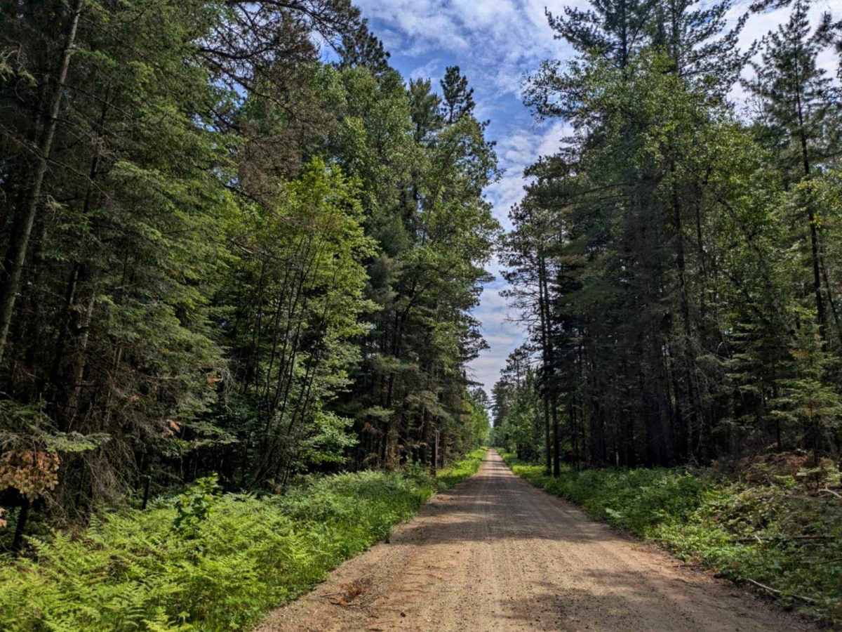 County Road 335 trail photo