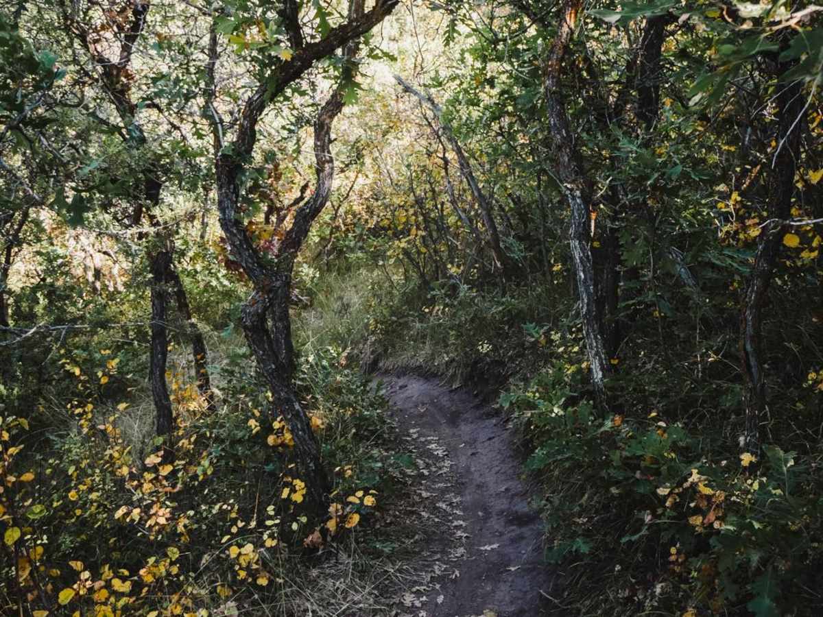 North Porcupine Trail trail photo