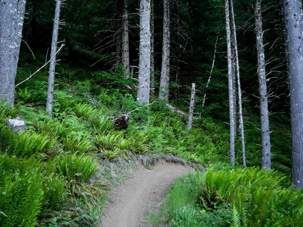 Beaverslide #52 (Difficult) photo 6