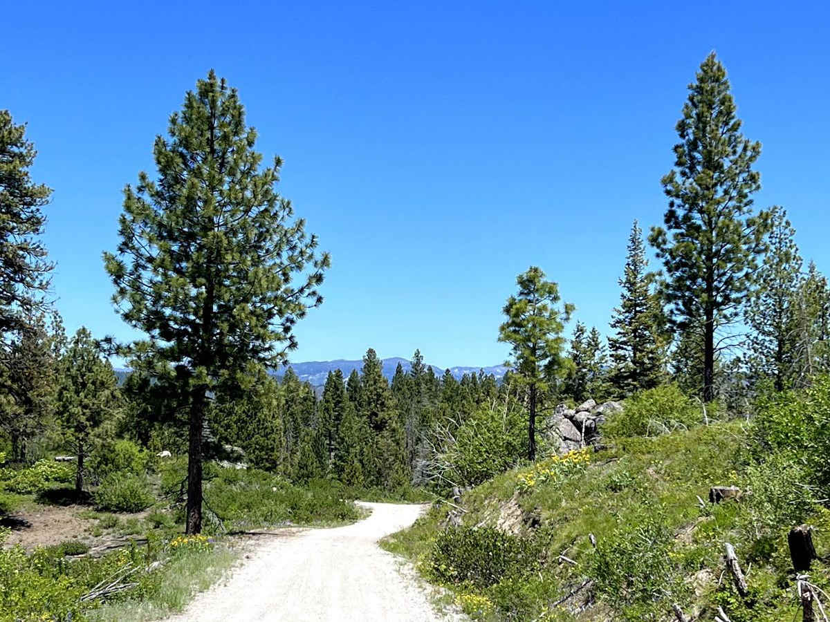 Harris Creek Trail photo 4