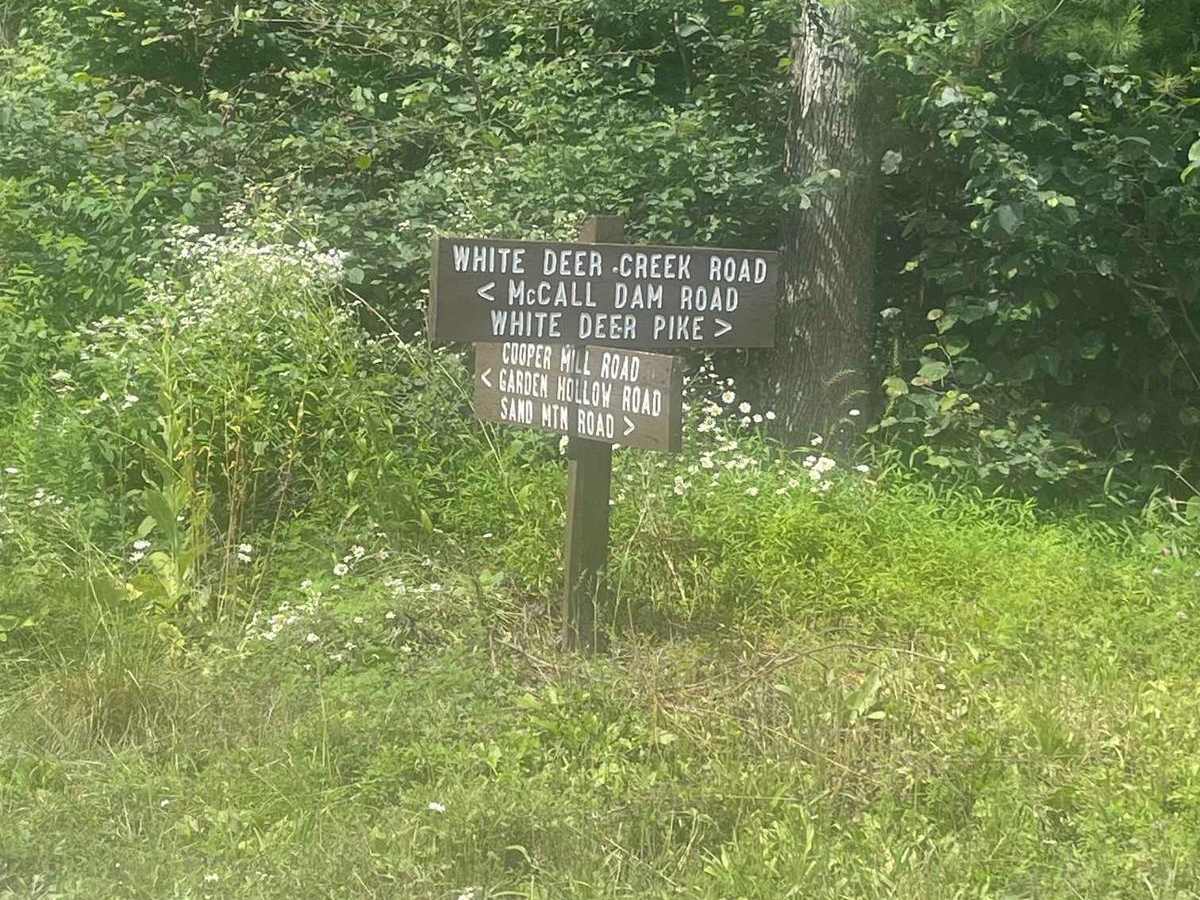 White Deer Creek Road photo 6
