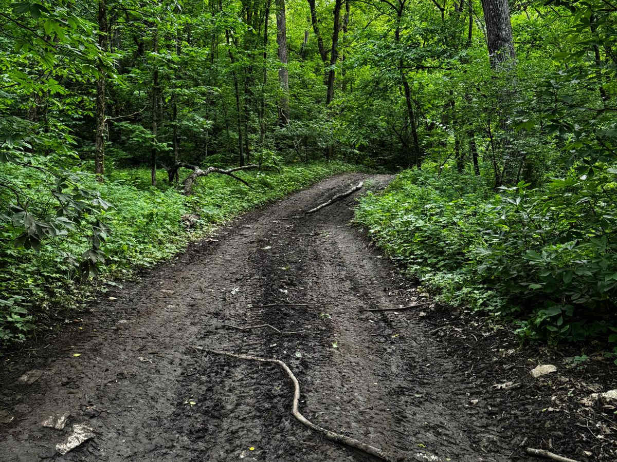 Yellow 41 trail photo