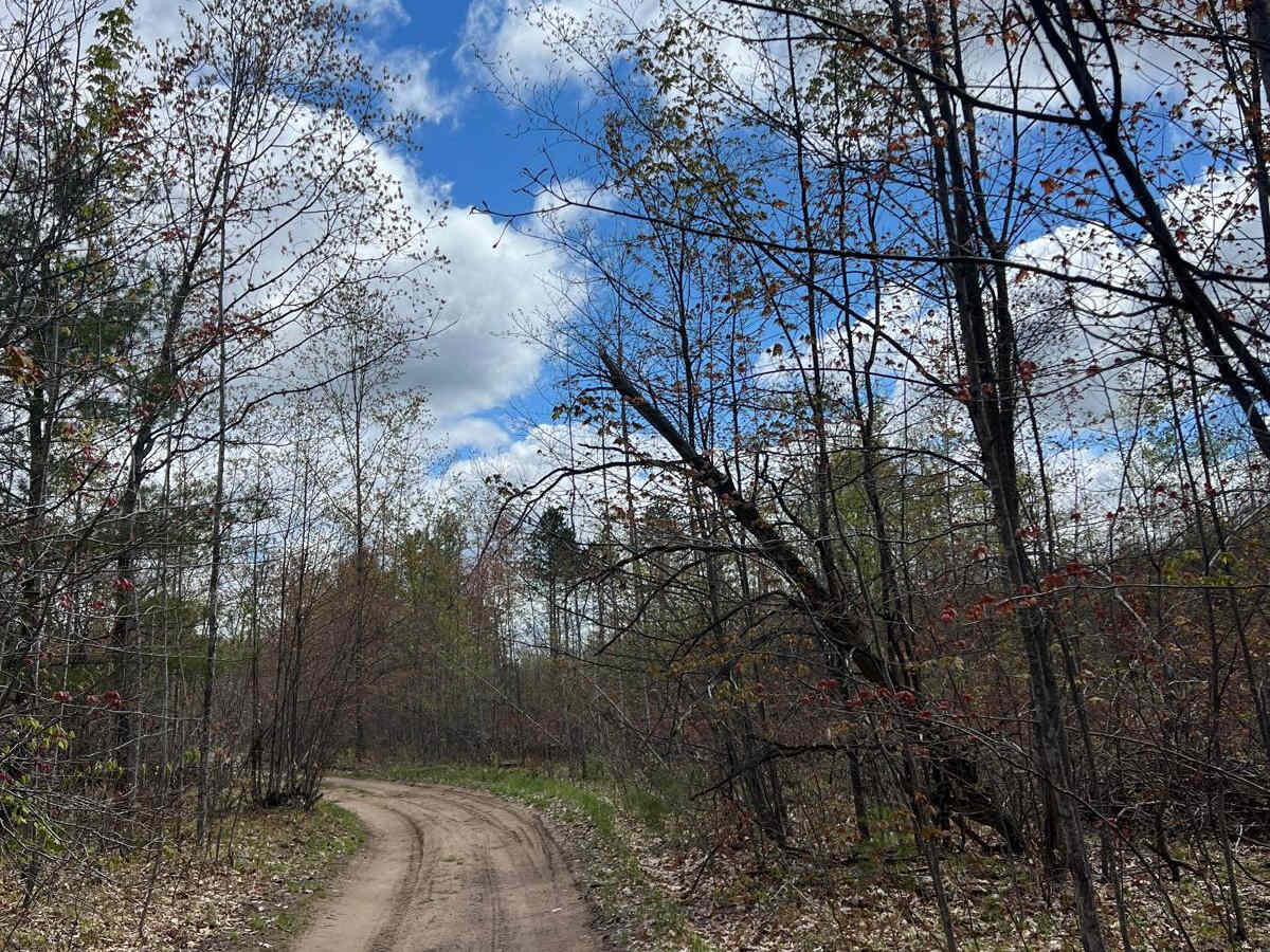 8 Trail photo 5