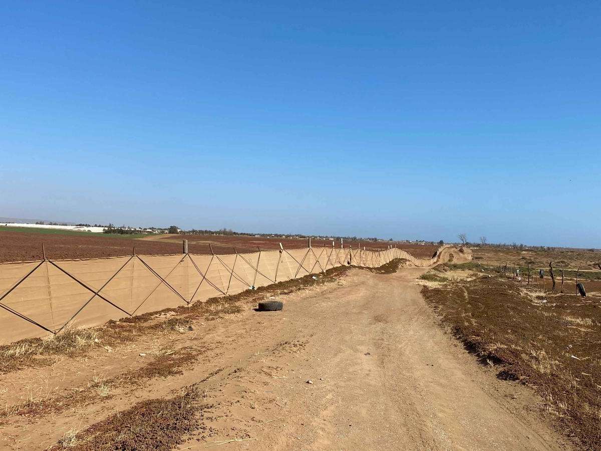 Bahia San Quintin photo 3