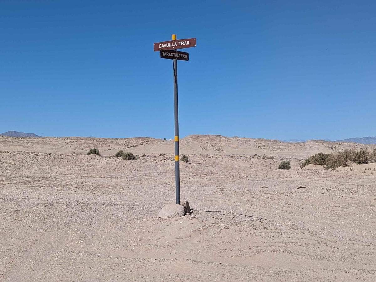 Ocotillo Wells photo 5