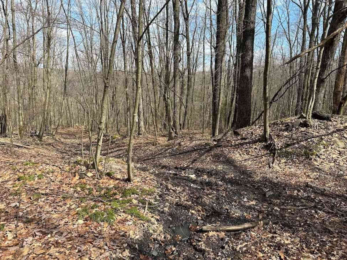 Ashland 134 photo 5
