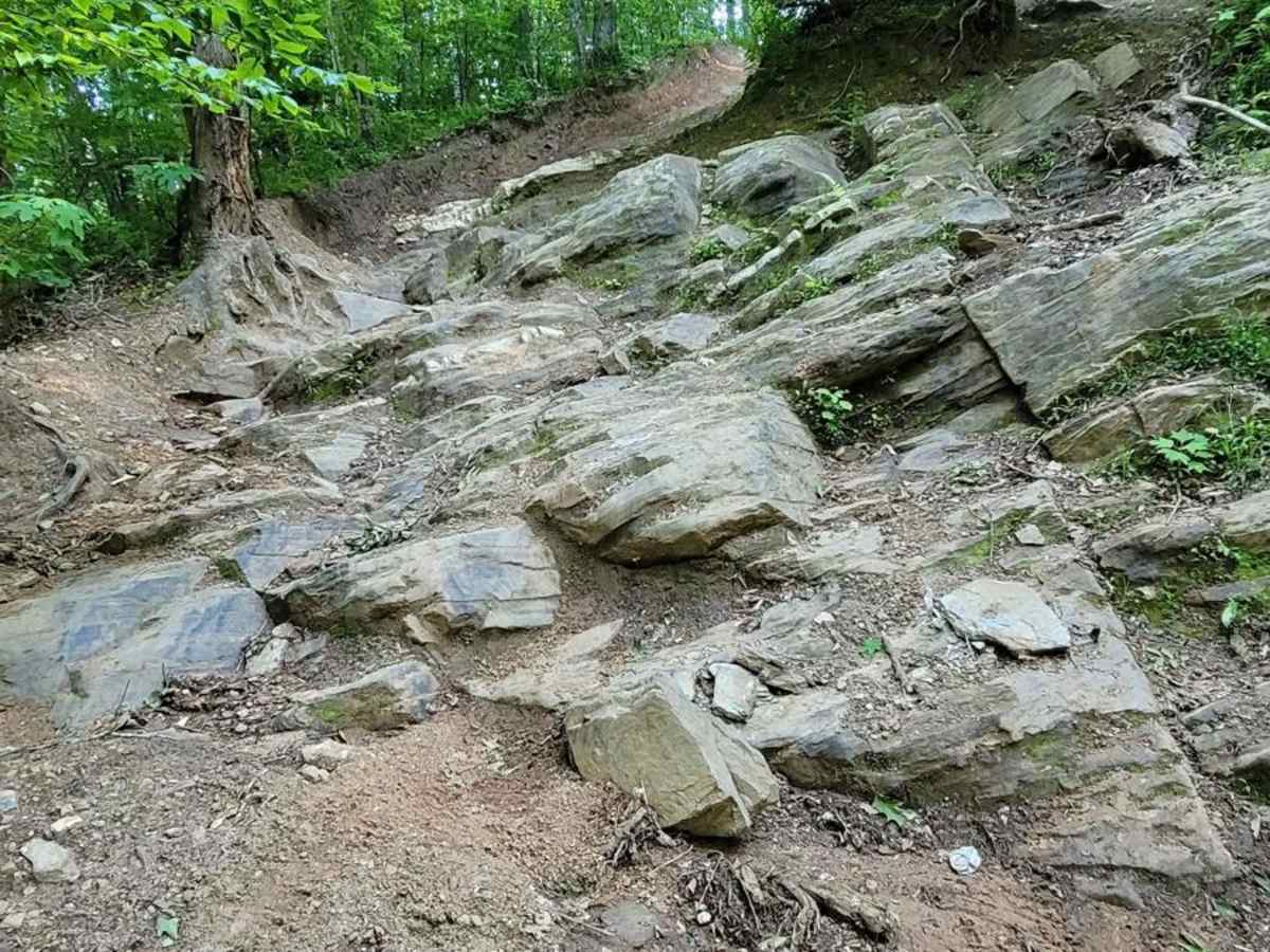 Loop Springs trail photo