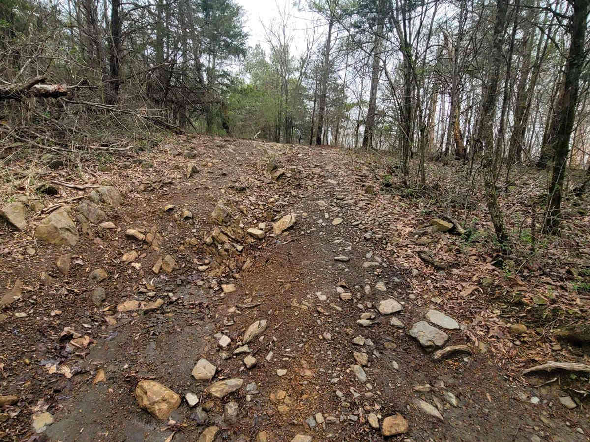 Copperhead Bypass photo 5