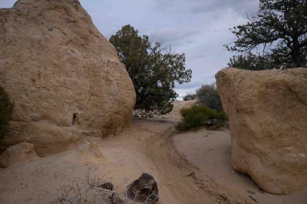Rhinos Ridge