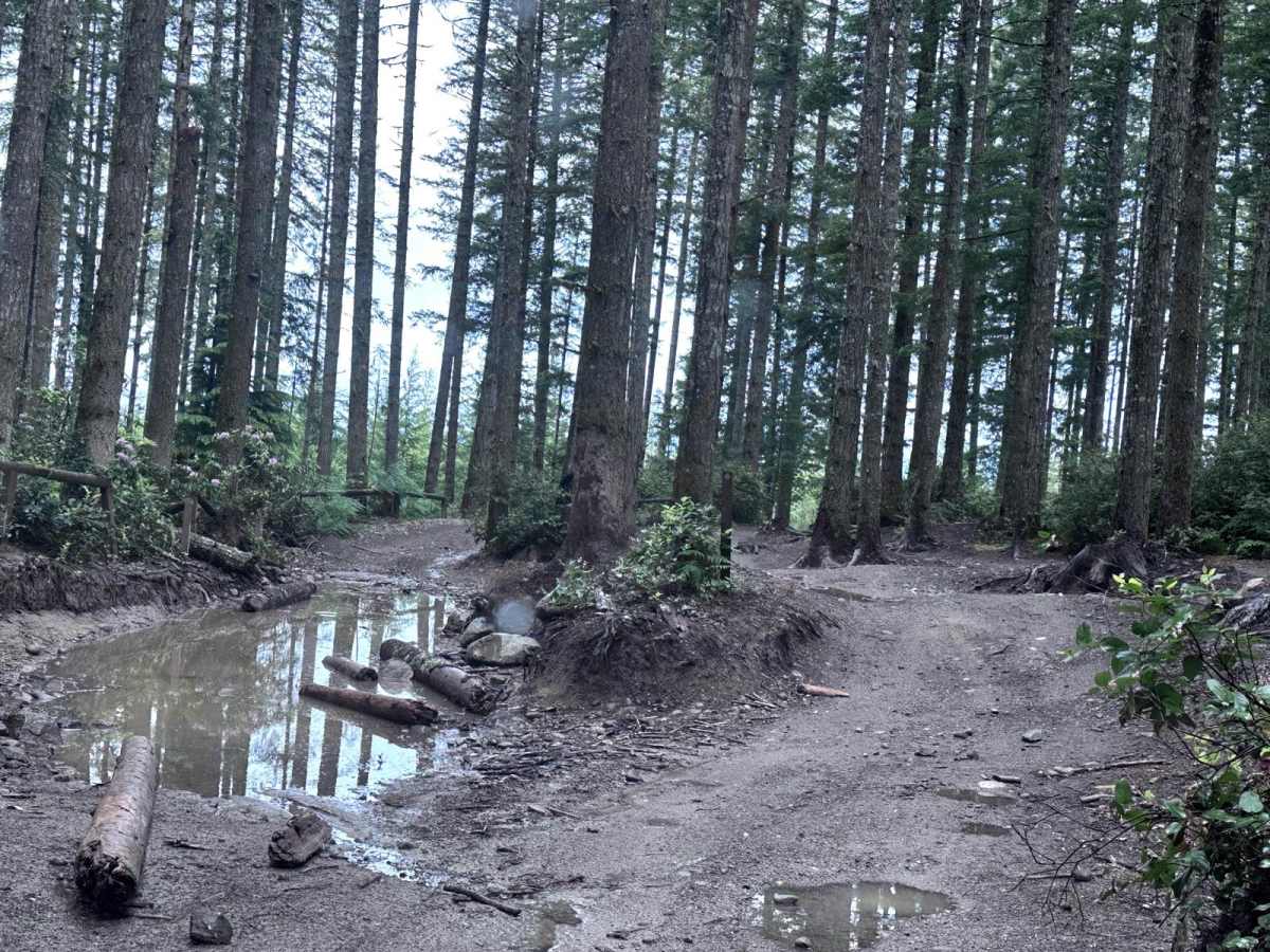 4x4 Play Area Entrance Road photo 4
