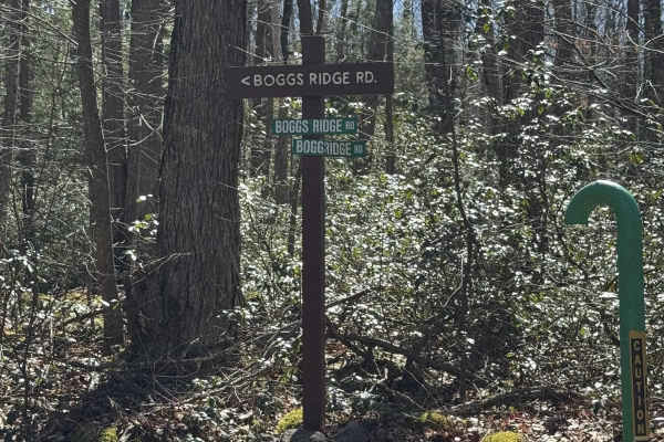 Boggs Ridge Road