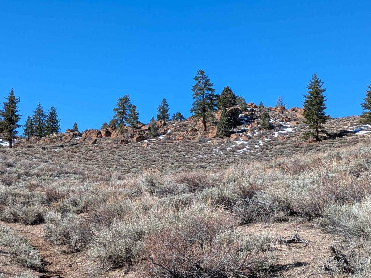 Round Mountain Turnoff - FS 3S54 photo 6