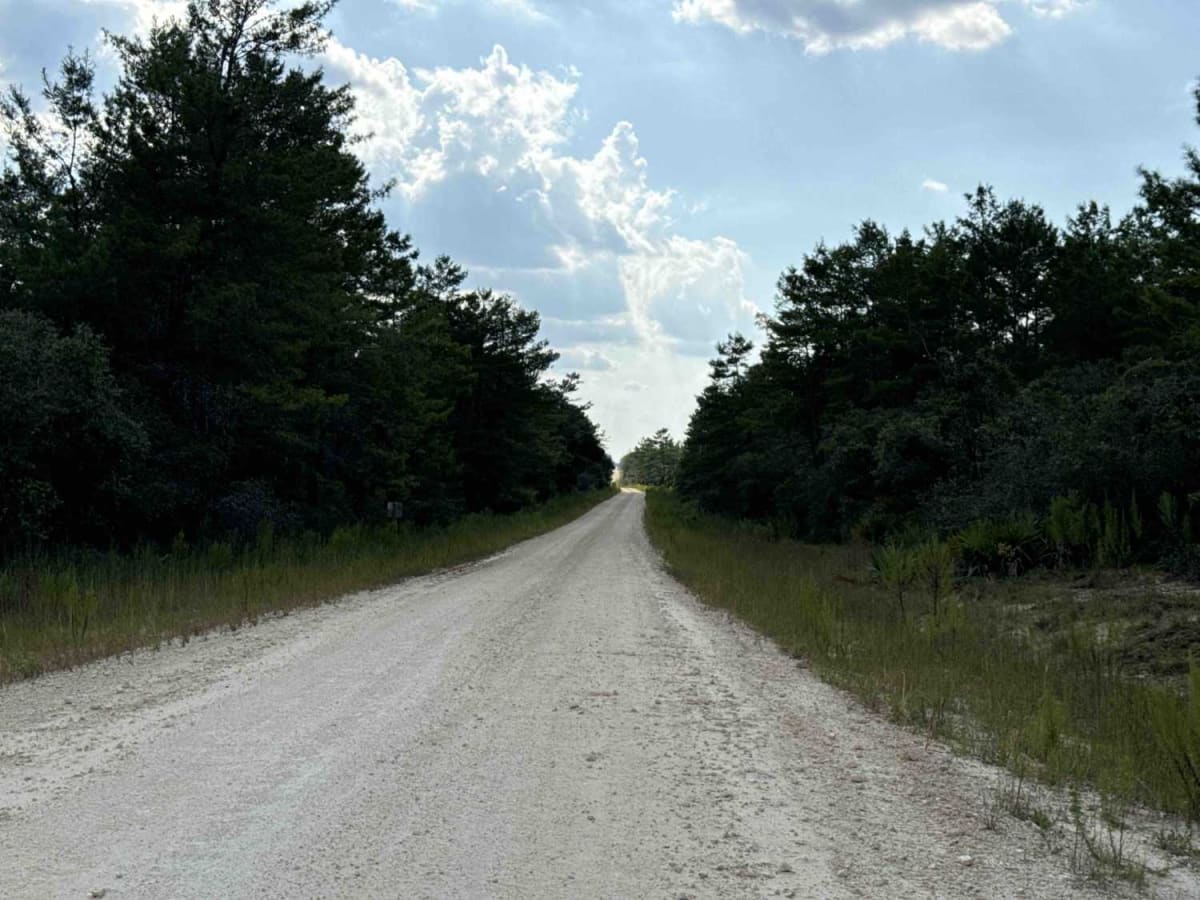 Volusia Trail - ONF 22 trail photo