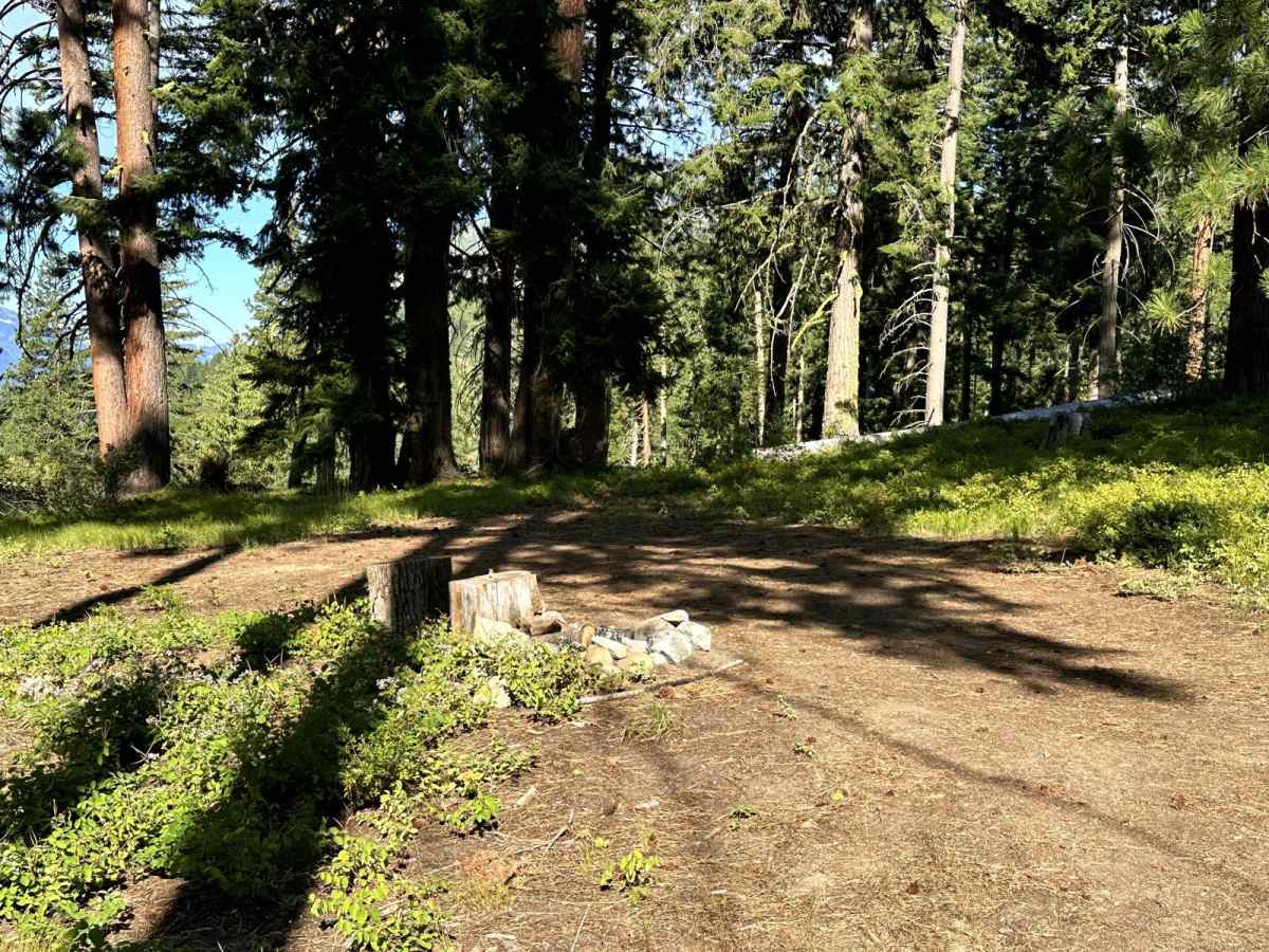 Sepp's Point (Pole Ridge Trail) photo 3