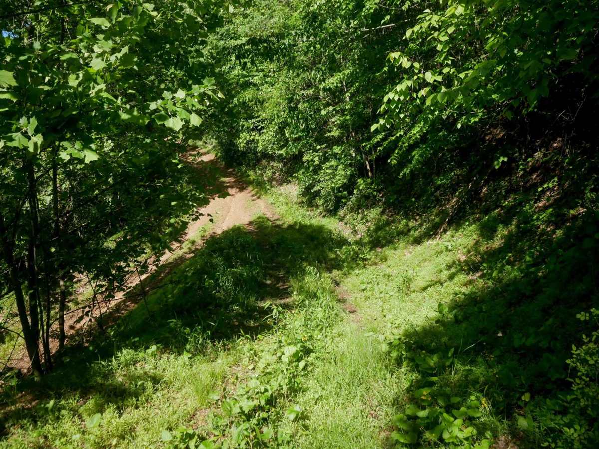 RV22 photo 3