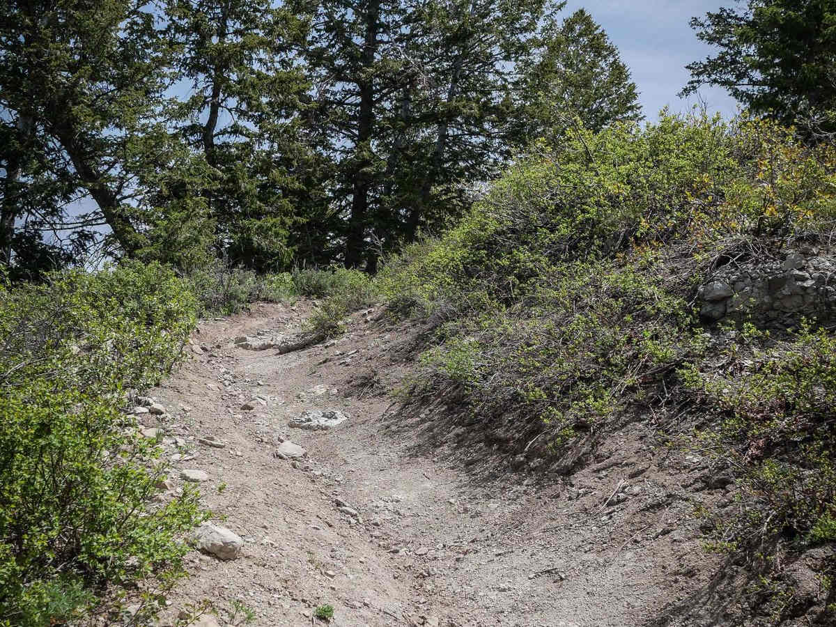 Sixth Water Divide #014 photo 5