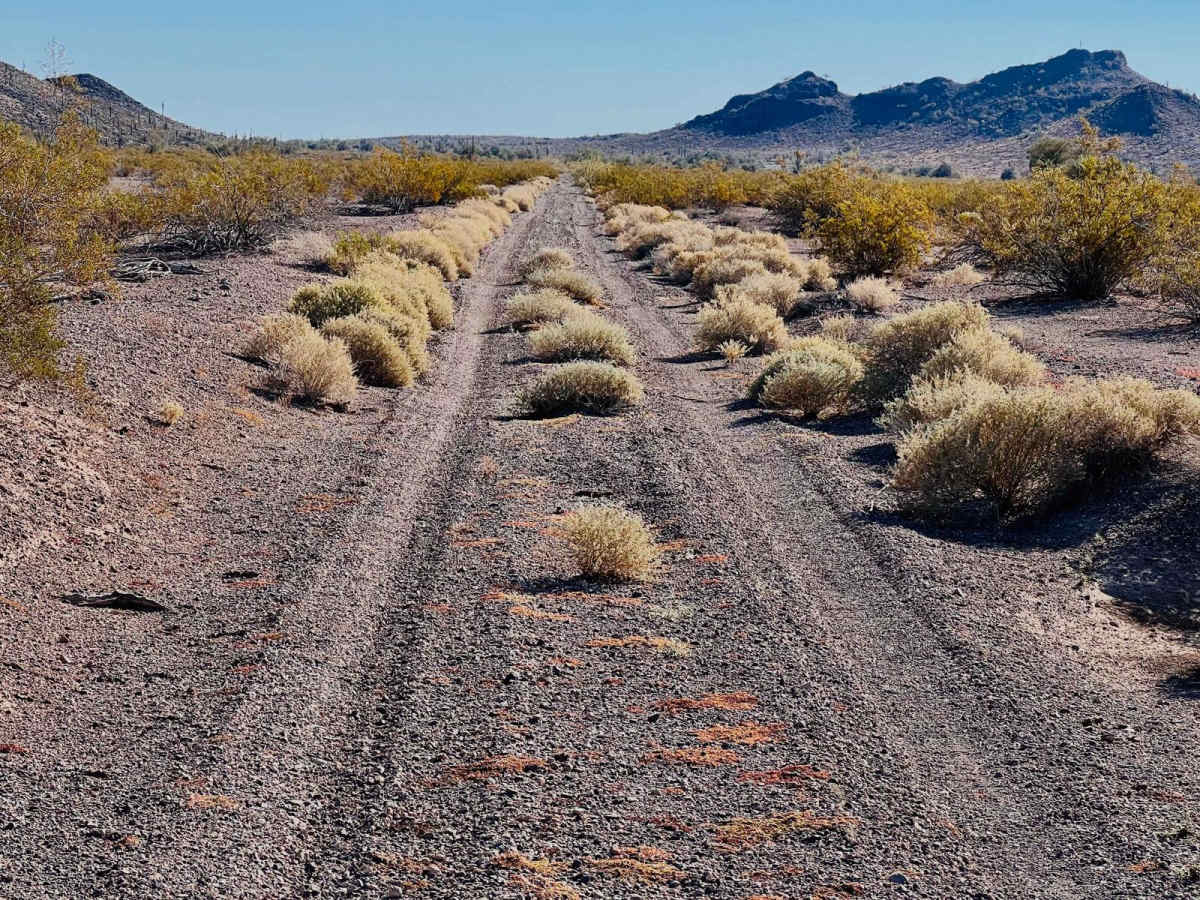 Corral to Corral Cutover trail photo