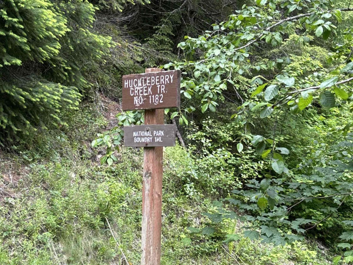 Huckleberry Creek Loop - FS 73 photo 6
