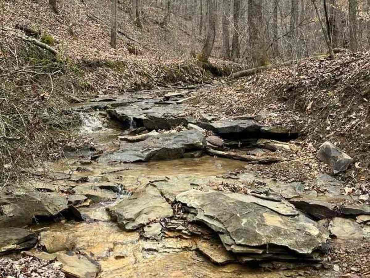 Trail 85 photo 3