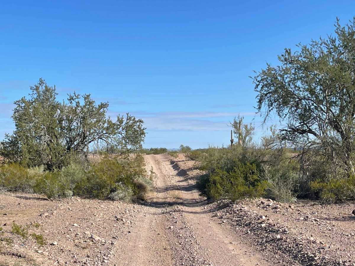 AZ Peace Trail Red Raven to Chicken Foot photo 5