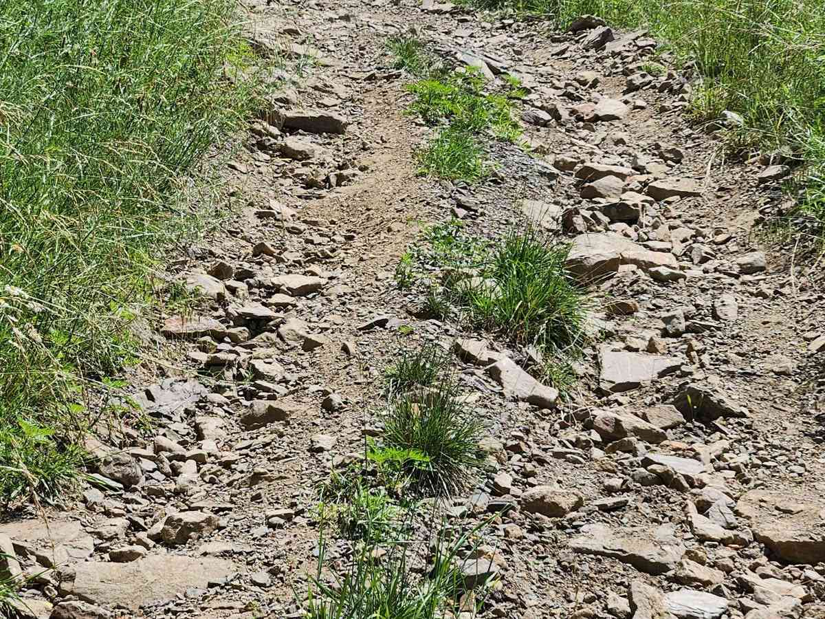 Trail 6E- Rock Run Recreation Area photo 6