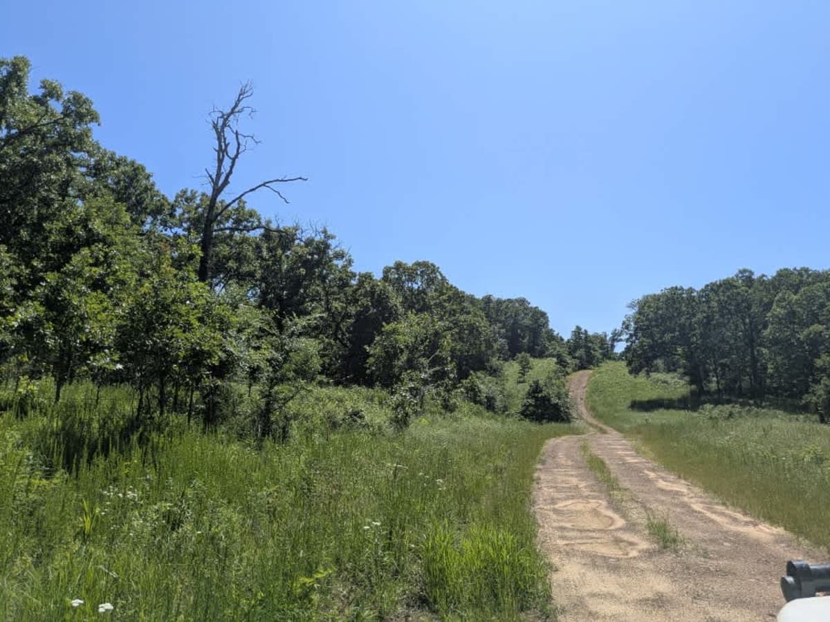 Black Hollow photo 3