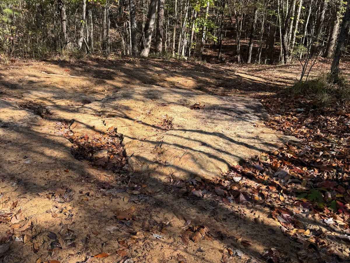 Blue Polaris Outfitter Trail photo 4