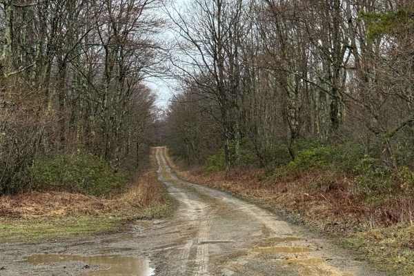 Eddy Lick Trail