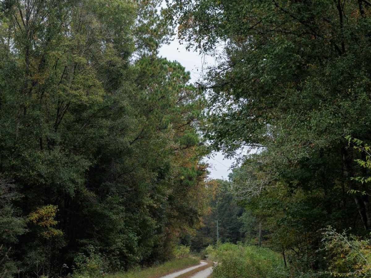Summerhouse Road - FSR 258 photo 2
