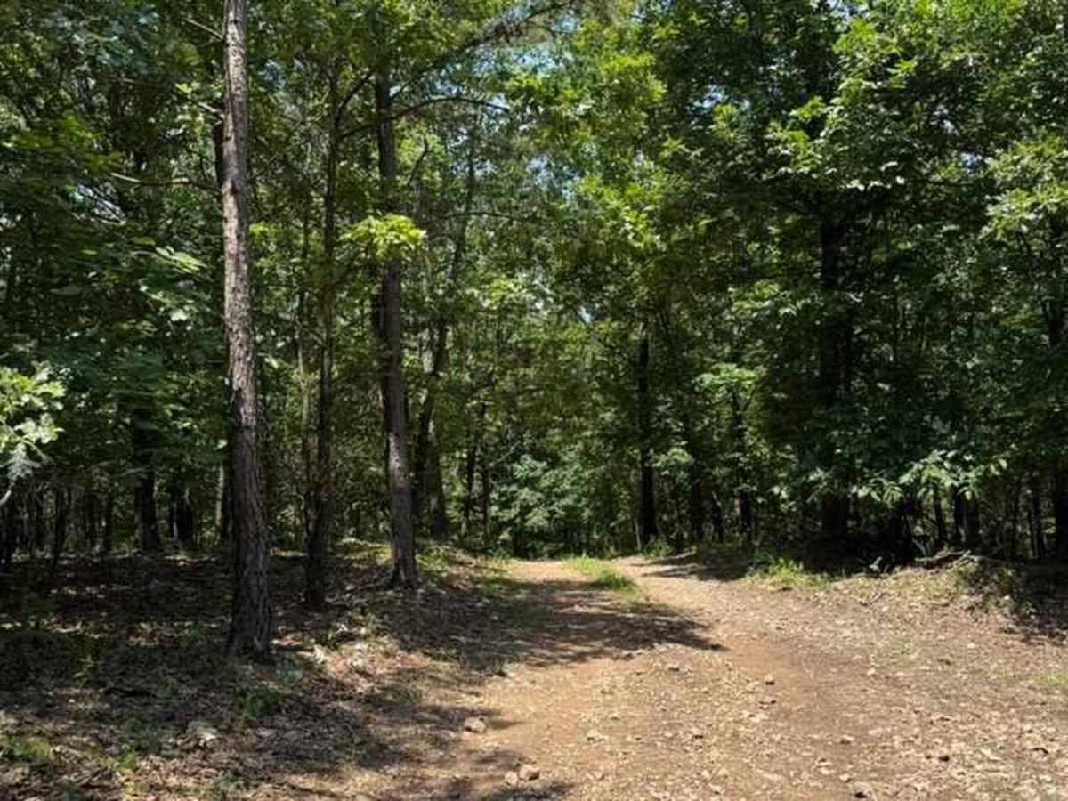 Kyler's Trail trail photo