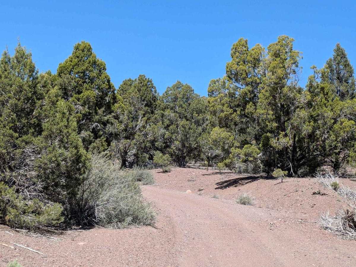 Miner's Ridge BLM30741 photo 4