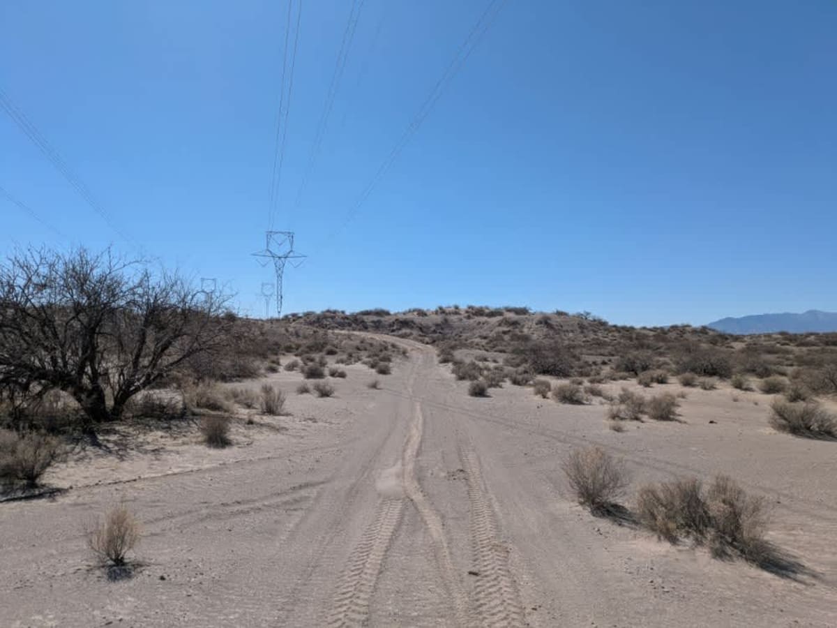 Ss1099 photo 5